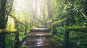 Liquid Drum and Bass Mix #99