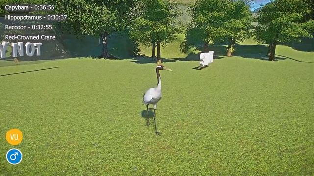 Wetlands Animals Speed Races in Planet Zoo included Raccoon, Crane, Buffalo, Capybara смотреть онлайн