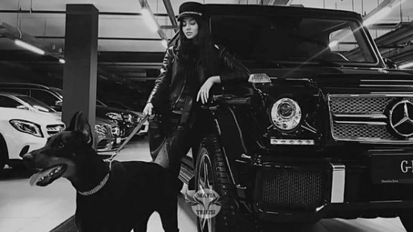 В этой суете мы снова ищем Парадайз 🥀