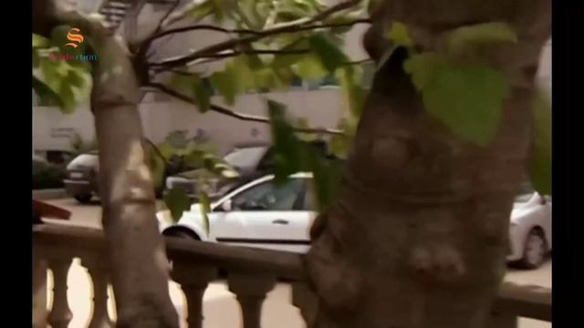 ХОМИЁН | 12.КИСМ