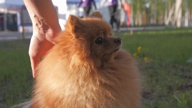 Открыто о выставке Open Village 2024