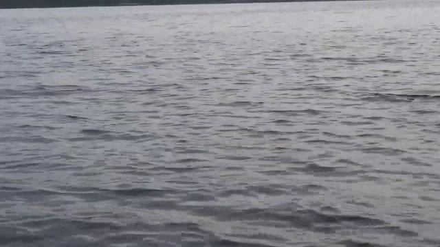 Лето 2023 смотреть онлайн
