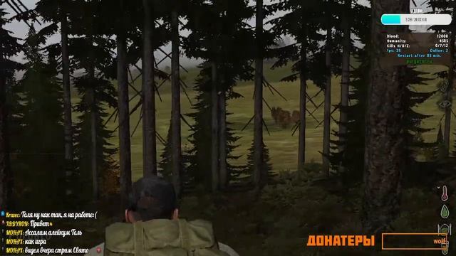 ARMA 2 Dayz играем на Purgator.ru СТРИМ!!! смотреть онлайн