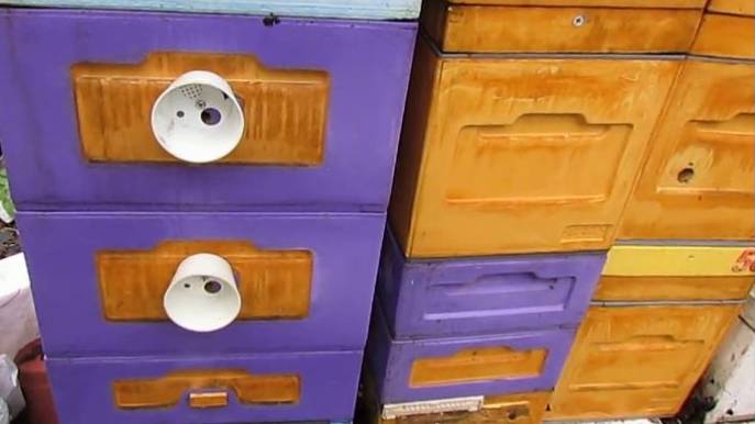 пчеловодство на ячейке 4,9 мм - часть 30, результат обработок от клеща , 31.10.2023 смотреть онлайн