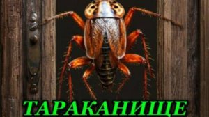 Сказка " Тараканище " К. Чуковский.