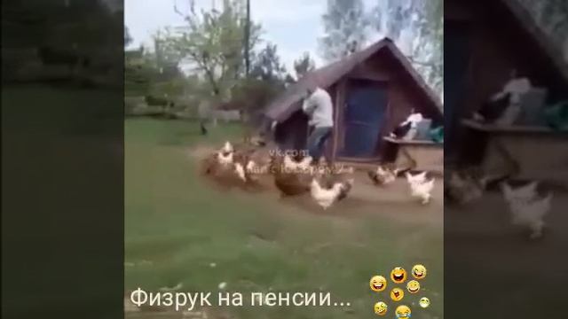 Video-4aede07d0e3a52bc5c344d74d4ef99bd-V.mp4