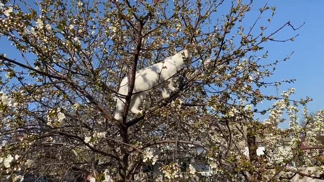 УРА!!! СНЕСЛИ КРЫШУ !! Дом мечты у Моря!! РАЗРУШЕНИЕ ЧАСТЬ 3 смотреть онлайн