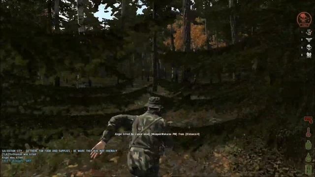 Dayz Arma 2 Taviana Origins - Liquid & Friends смотреть онлайн