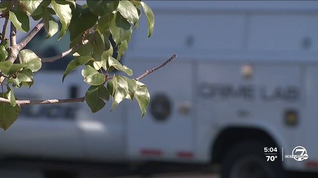 Teen dead, 3 injured in hotel shooting in Aurora; 2 arrested смотреть онлайн