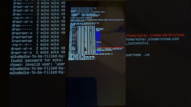 Linux loop step by step tutorial on how to get out of it. Gole1 Pro J4125 UHD 600 running Ubuntu смотреть онлайн
