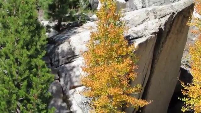 Quaking Aspen, Tioga Road смотреть онлайн