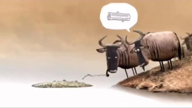 Верю не верю.