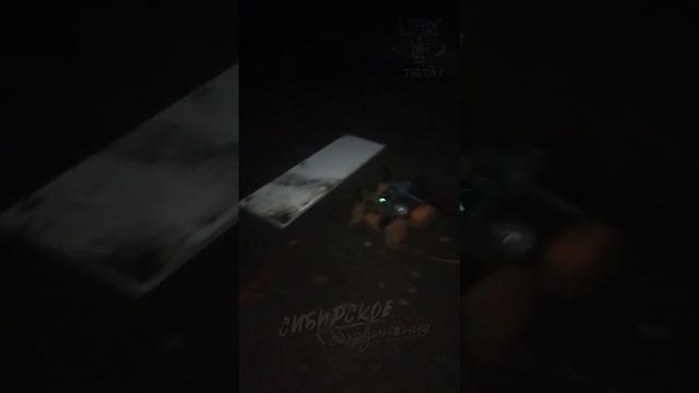 ⚡️СВО 18+ Группа Тигра проводит агит работу на Покровском направлении. смотреть онлайн