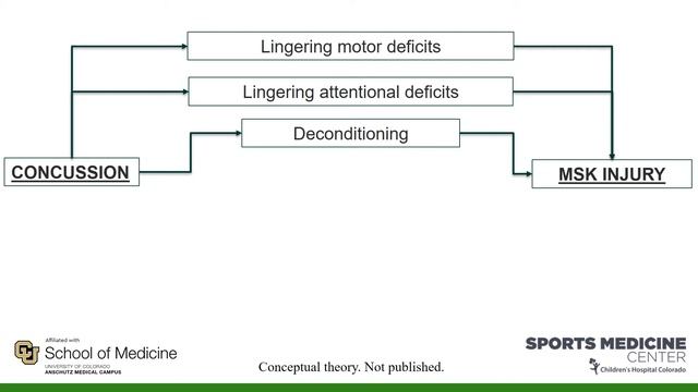 IPS 2020 - David Howell, PhD - Preventing Injuries After Sport-Related Concussion смотреть онлайн
