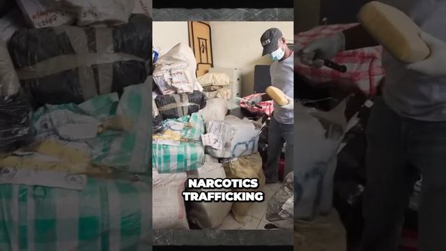 The Insane Truth Behind the Russian Mafia Revealed What You Didnt Know смотреть онлайн