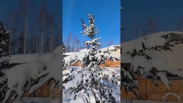 Природа лучший художник! #2024 #winter #openvillage смотреть онлайн