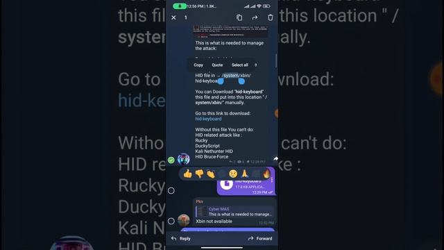 system/xbin/hid-keyboard not found. Kali Nethunter problem fixed. смотреть онлайн