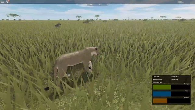 Roblox - Testing A | ''Stealing hyena's prey and keeping her away from it.'' смотреть онлайн
