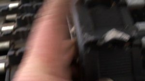 Гусеница полярник .