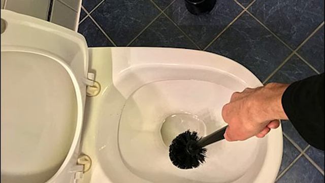 USE BLEACH RESPONSIBLY - Together Scrubbing Toilet Bowls - Electric Dreams Song Parody смотреть онлайн