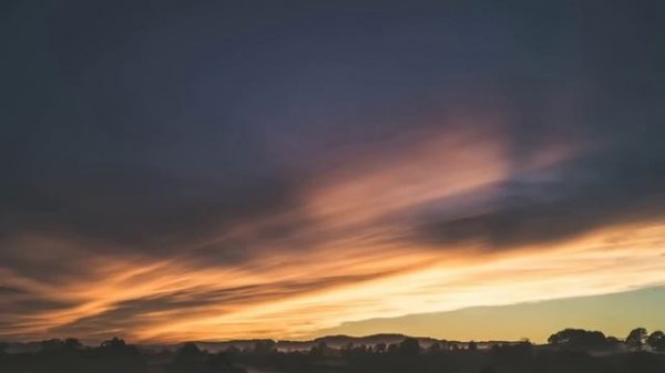 「1HOUR + LYRICS」 DJ Snake - Let Me Love You (Lyrics) ft. Justin Bieber