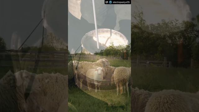 Что будет, если давать добавку Аль карал (Al Karal) смотреть онлайн