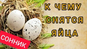 К чему снятся ЯЙЦА . СОН яйца куриные. Толкование и расшифровка сна
