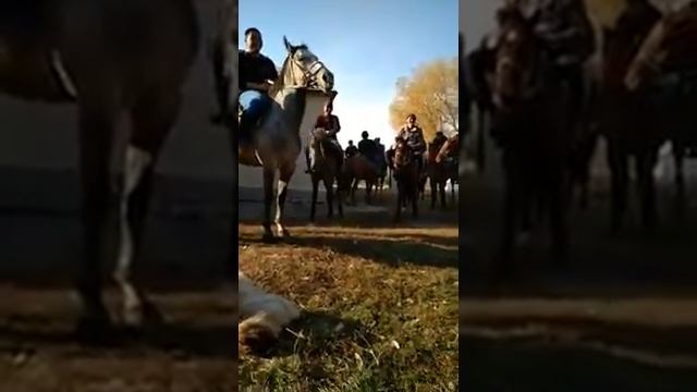 Улакчылар смотреть онлайн