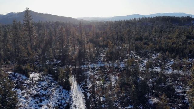 Washington Predator-Prey Project смотреть онлайн