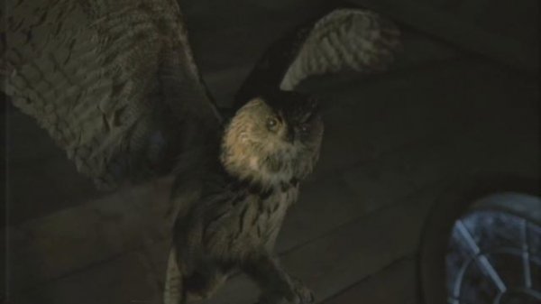 Alan Wake 2 - All Manuscript Pages