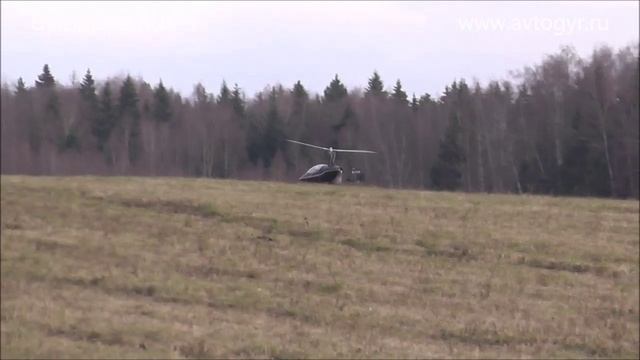 Дельфин_eng смотреть онлайн