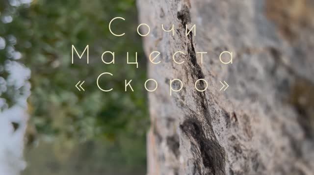 Мацеста Тирренкур! смотреть онлайн