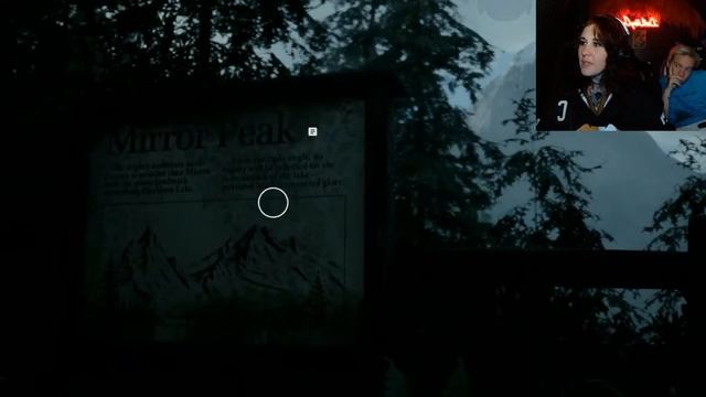 MY COMPUTER HAD A MELTDOWN?! - Alan Wake 2 смотреть онлайн