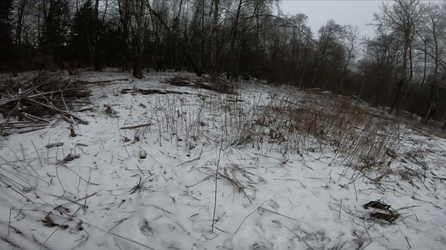 Катаюсь один в зимнем лесу на MTB. Нашел тайник? смотреть онлайн