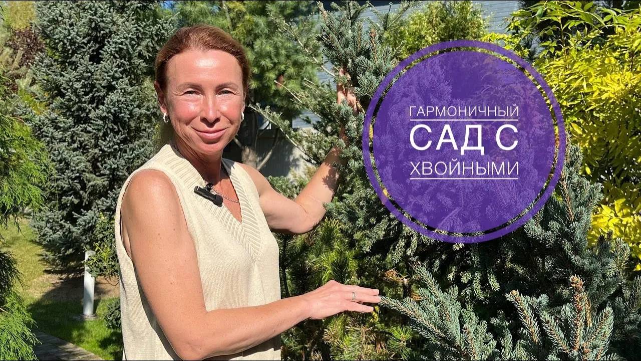 ГАРМОНИЧНЫЙ САД С ХВОЙНЫМИ смотреть онлайн