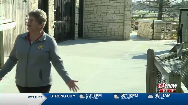 Emporia zoo director to retire, leaves lasting legacy смотреть онлайн