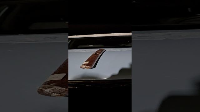 Зима и Чери