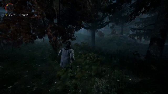 Out of Bound of Anderson Farm Alan Wake смотреть онлайн