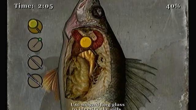 Bully Scholarship Edition Class: Biology 3 смотреть онлайн