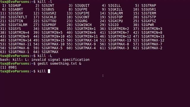 M01T2.8 - Intro to Linux - Sending Signals to Processes смотреть онлайн