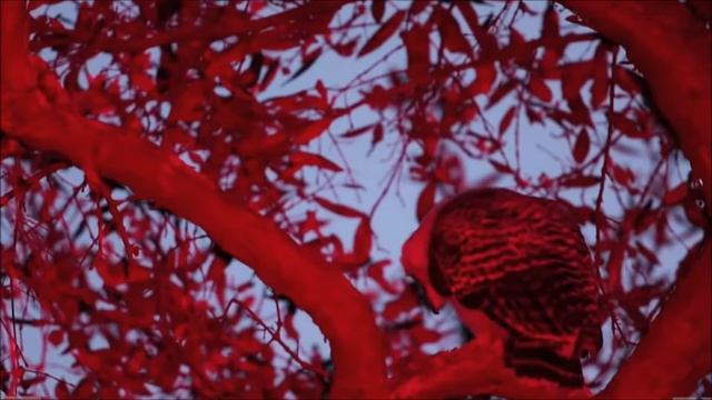 Assignment смотреть онлайн