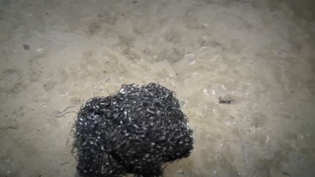 Причина чека по низкой эффективности катализатора смотреть онлайн