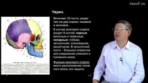 Дубынин В. А. - 100 часов школьной биологии - 1.2. Скелет