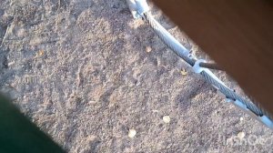 санёчек и богатая жизнь