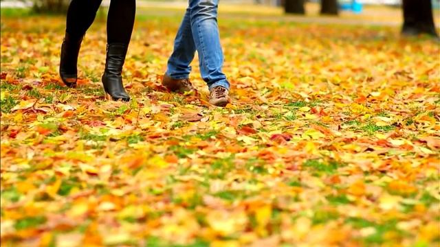 落叶是告诉我们秋天的风景原来这么美！The fallen leaves tell us how beautiful the autumn scenery is! смотреть онлайн