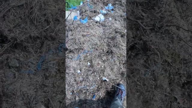 Из чего состоит берлога людоеда медведя смотреть онлайн