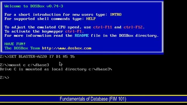 Executing Dbase3+ in DoxBox смотреть онлайн