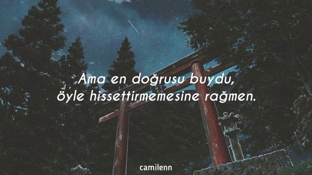 Sufjan Stevens - Fourth of July [Türkçe Çeviri] смотреть онлайн