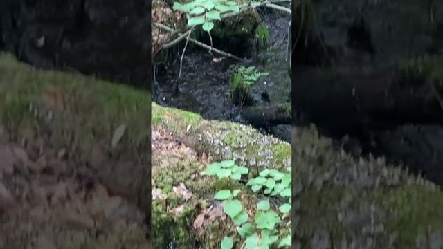 Откачиваем новый блиндаж. смотреть онлайн