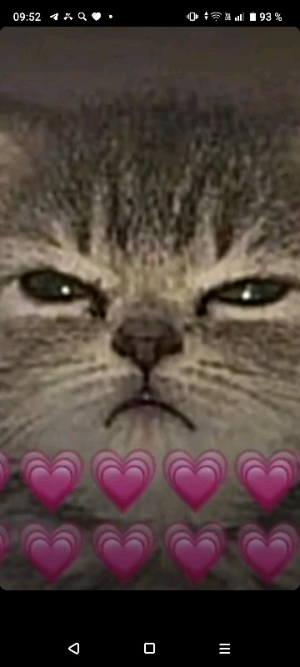 Руфина и Лера ❤️